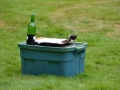 3336 2017 Garden Party
