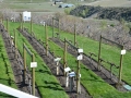 8255 Osoyoos Wine Trip