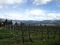 716a OK Wine Tour May 2019